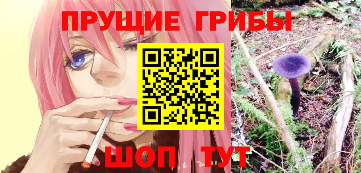 Псилоцибиновые грибы мухоморы  Галлюциногенные грибы ЛСД  наркотики  Азов  Вход с VPN 