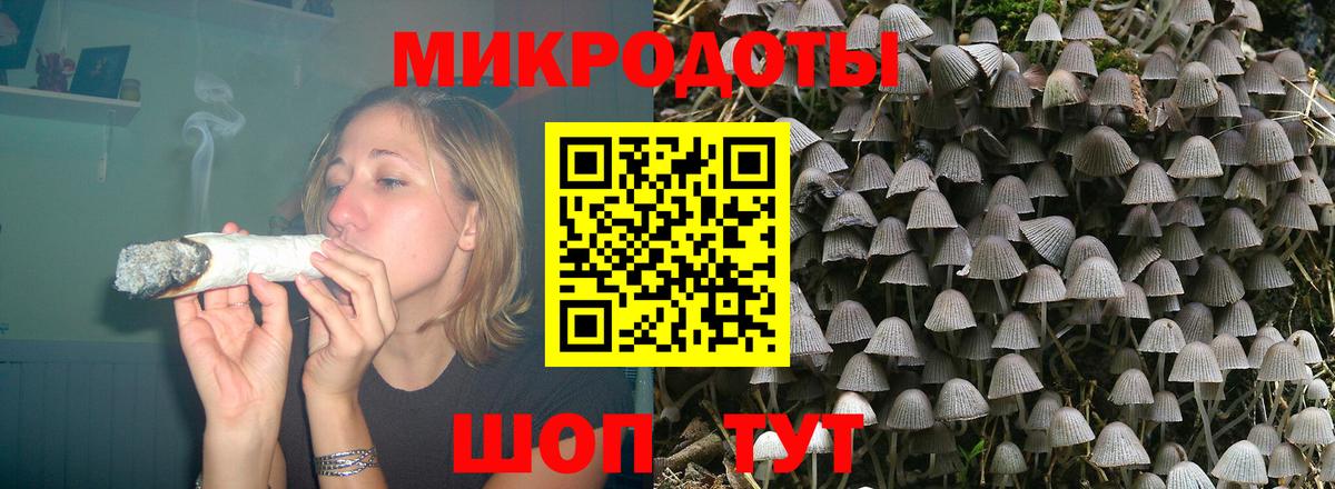 Галлюциногенные грибы мицелий Азов